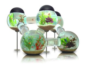aquário de parede , aquário de parede sp, venda de aquário de parede, loja de aquário, aquário decorativo, decoração aquário aquário de parede , aquário de parede sp, venda de aquário de parede, loja de aquário, aquário decorativo, decoração aquário